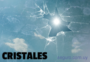 Seguro de cristales