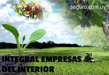 Seguro Integral Empresas Interior