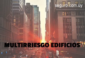 Seguro Multi Riesgo Edificios