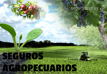 Seguros Agropecuarios