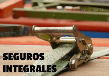 Seguros Integrales